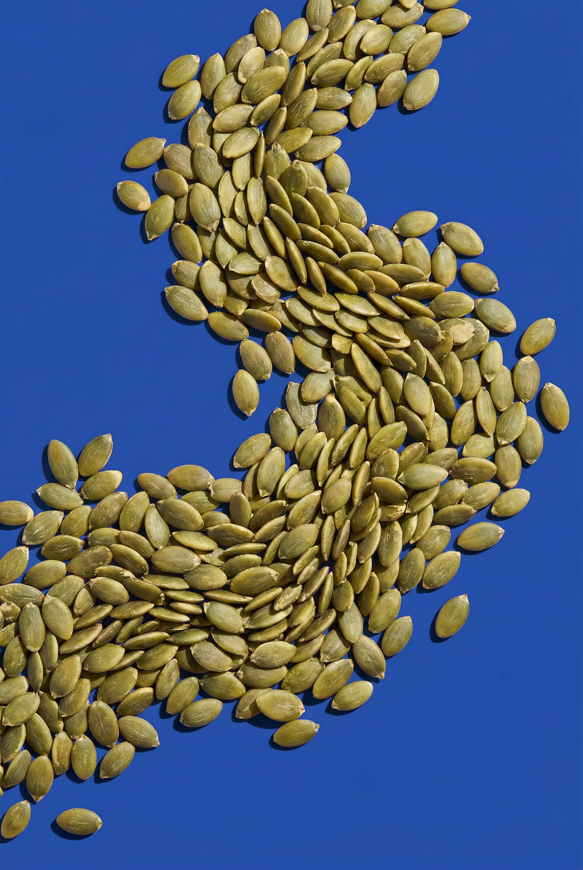 Pumpkin Seeds 500g (Best Before Oct 2026)
